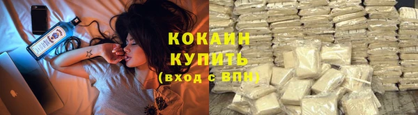 a pvp Гусев