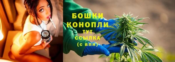 не бодяженный Гусь-Хрустальный
