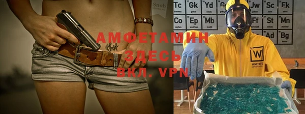 гидропоника Гусиноозёрск