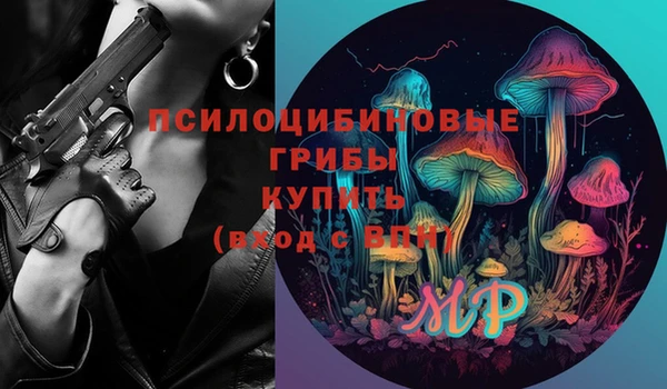 гидропоника Гусиноозёрск