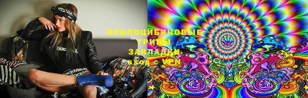 a pvp Гусев