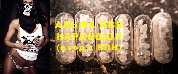 гидропоника Гусиноозёрск