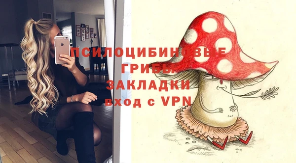 a pvp Гусев
