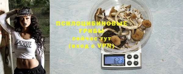 не бодяженный Гусь-Хрустальный