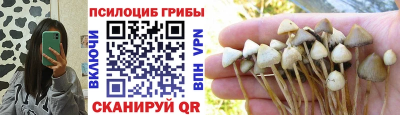 kraken сайт Жуковка Галлюциногенные грибы GOLDEN TEACHER магазин